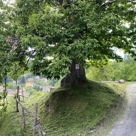 La Bell'estate 3*